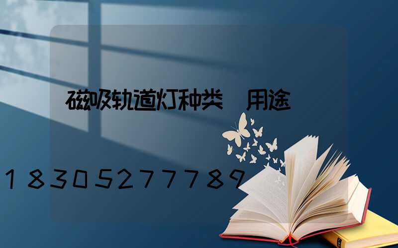 磁吸轨道灯种类 用途